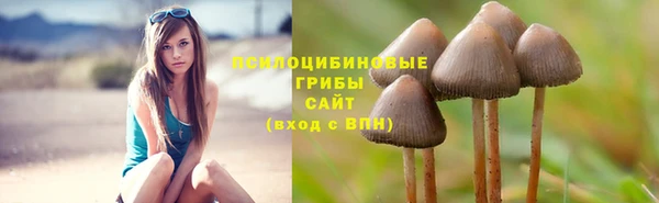 метадон Баксан