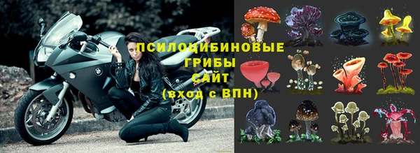 spice Балахна